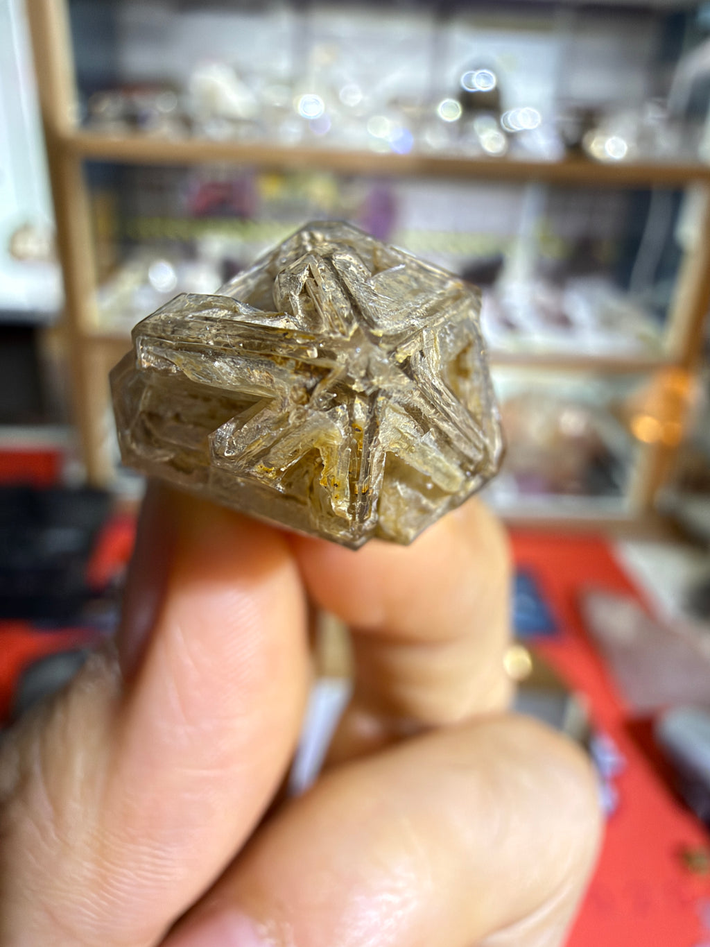 Yellow Mud Elestial Quartz with Deep Window - 7.6g - IMG_6831.JPG