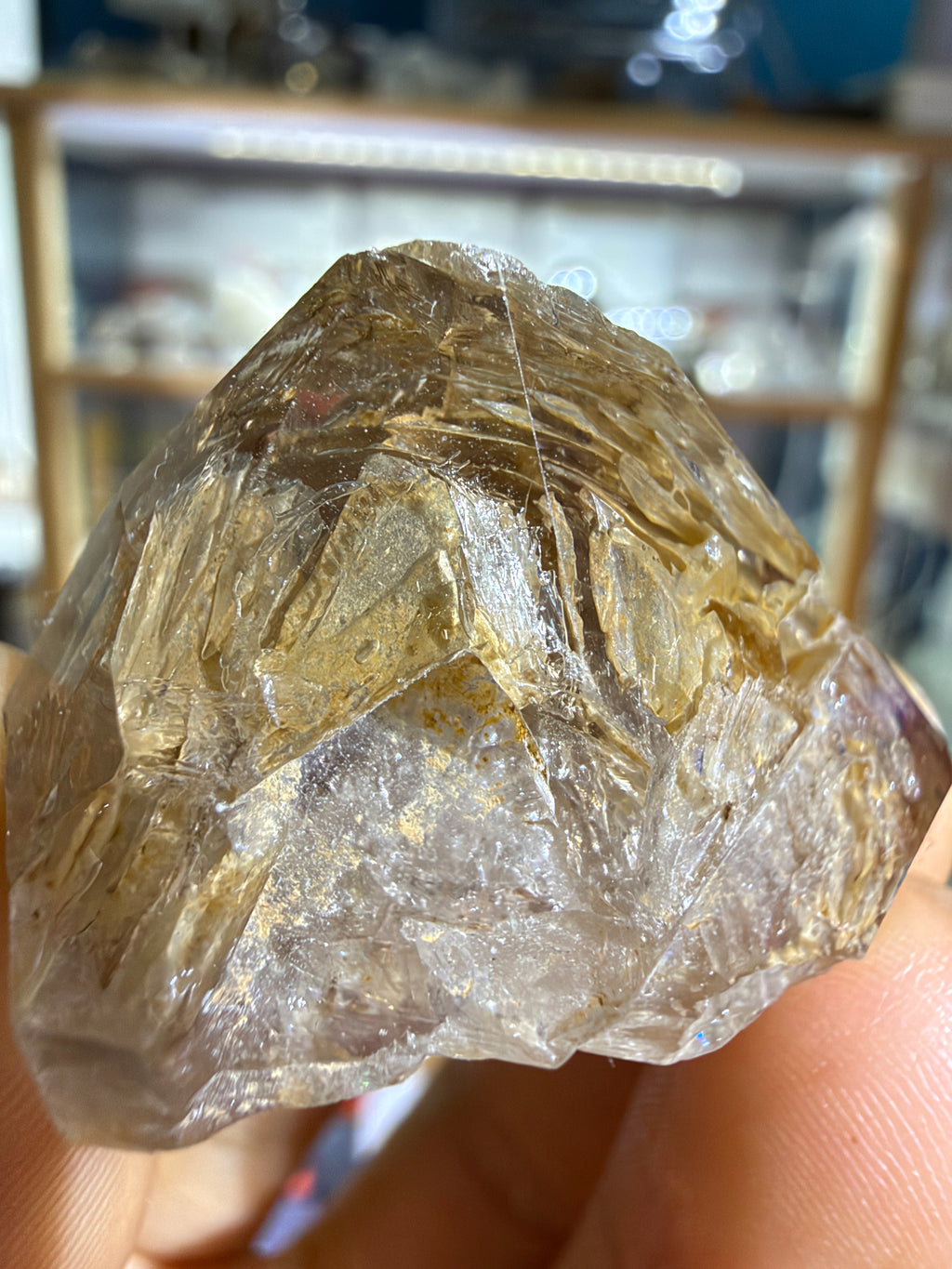 Yellow Mud Elestial Quartz Dome Formation - 20.6g - IMG_6840.JPG