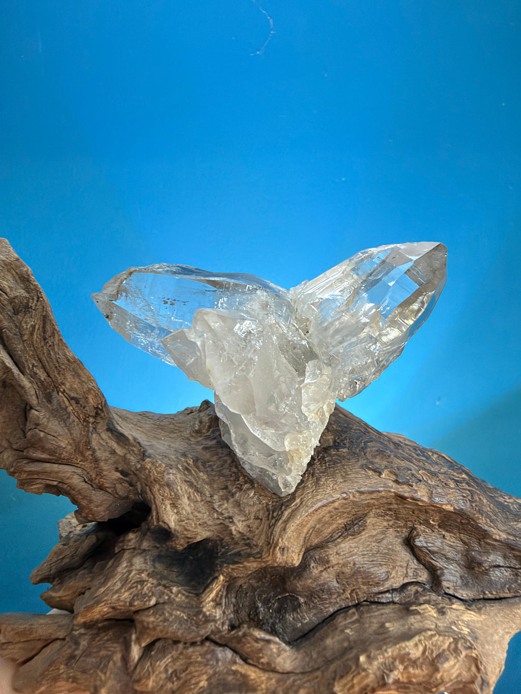 Himalayan Quartz Eagle Wing Twin Point with Wood Stand - 105g - IMG_6935.jpeg