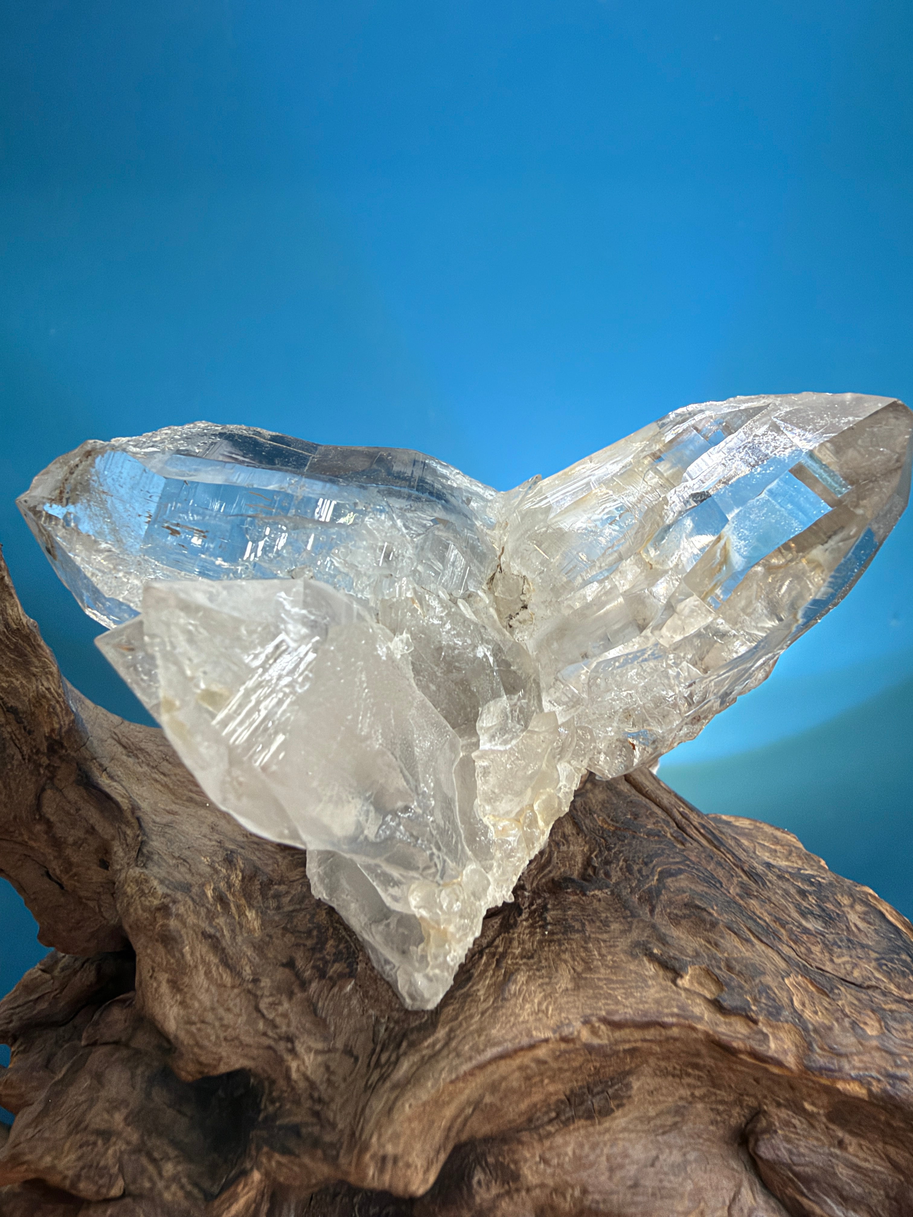 Himalayan Quartz Eagle Wing Twin Point with Wood Stand - 105g - IMG_6936.jpeg