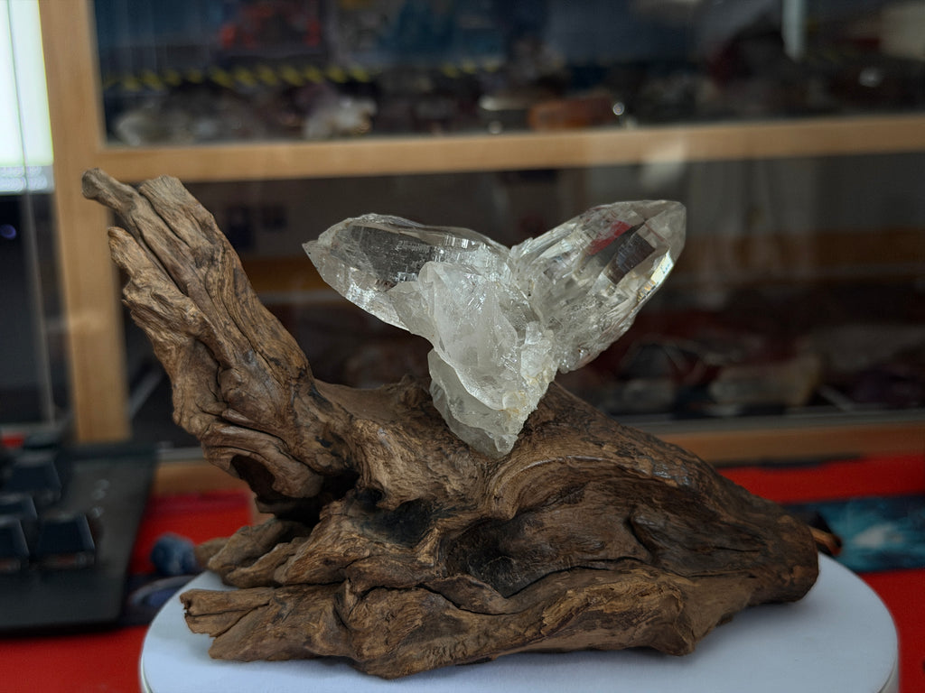 Himalayan Quartz Eagle Wing Twin Point with Wood Stand - 105g - IMG_6951.jpeg