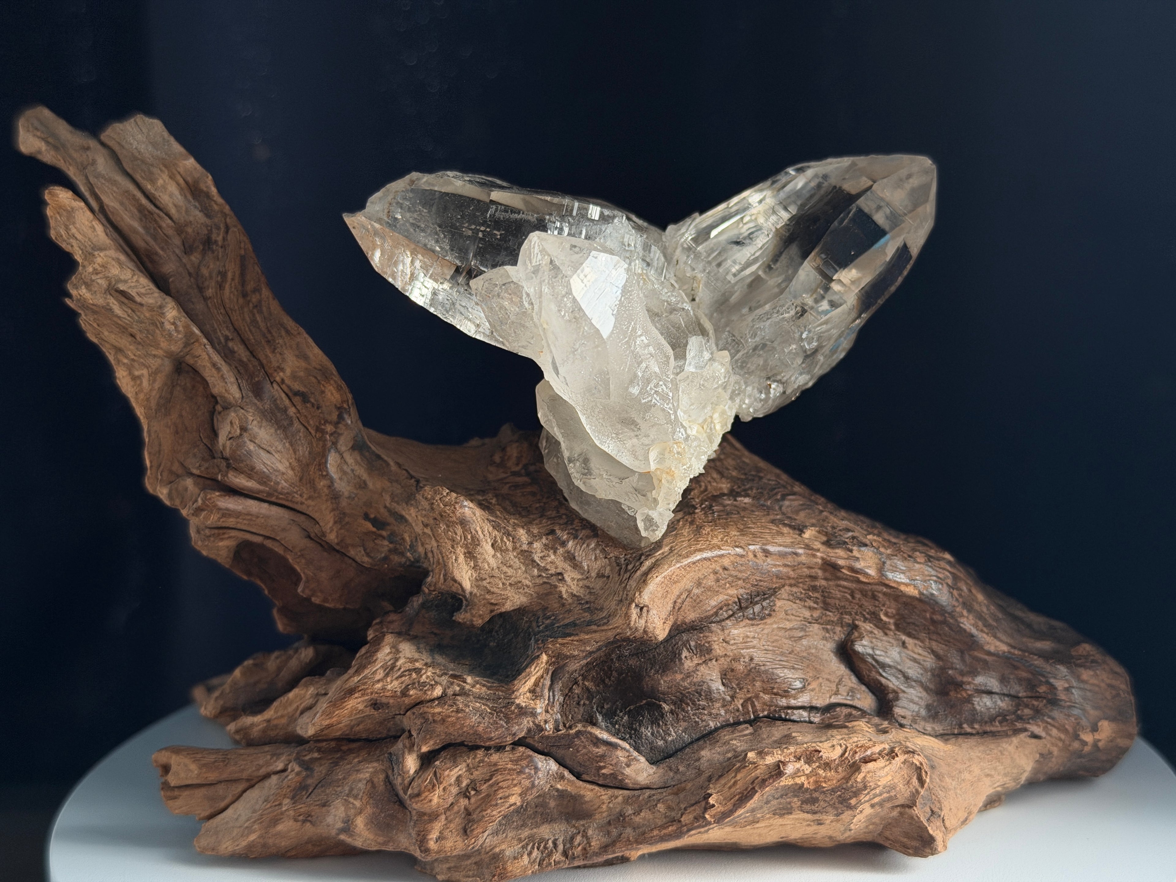 Himalayan Quartz Eagle Wing Twin Point with Wood Stand - 105g - IMG_6961.jpeg