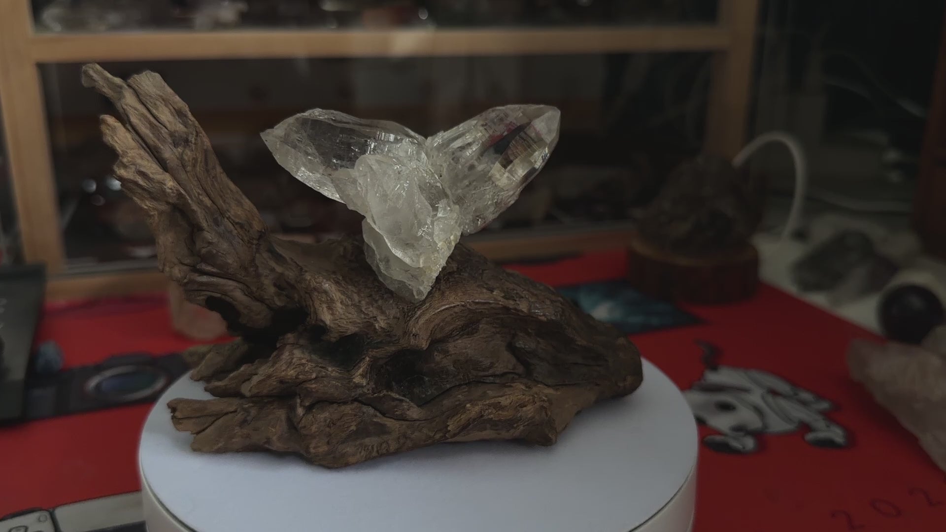 Himalayan Quartz Eagle Wing Twin Point with Wood Stand - 105g - IMG_6956.mov