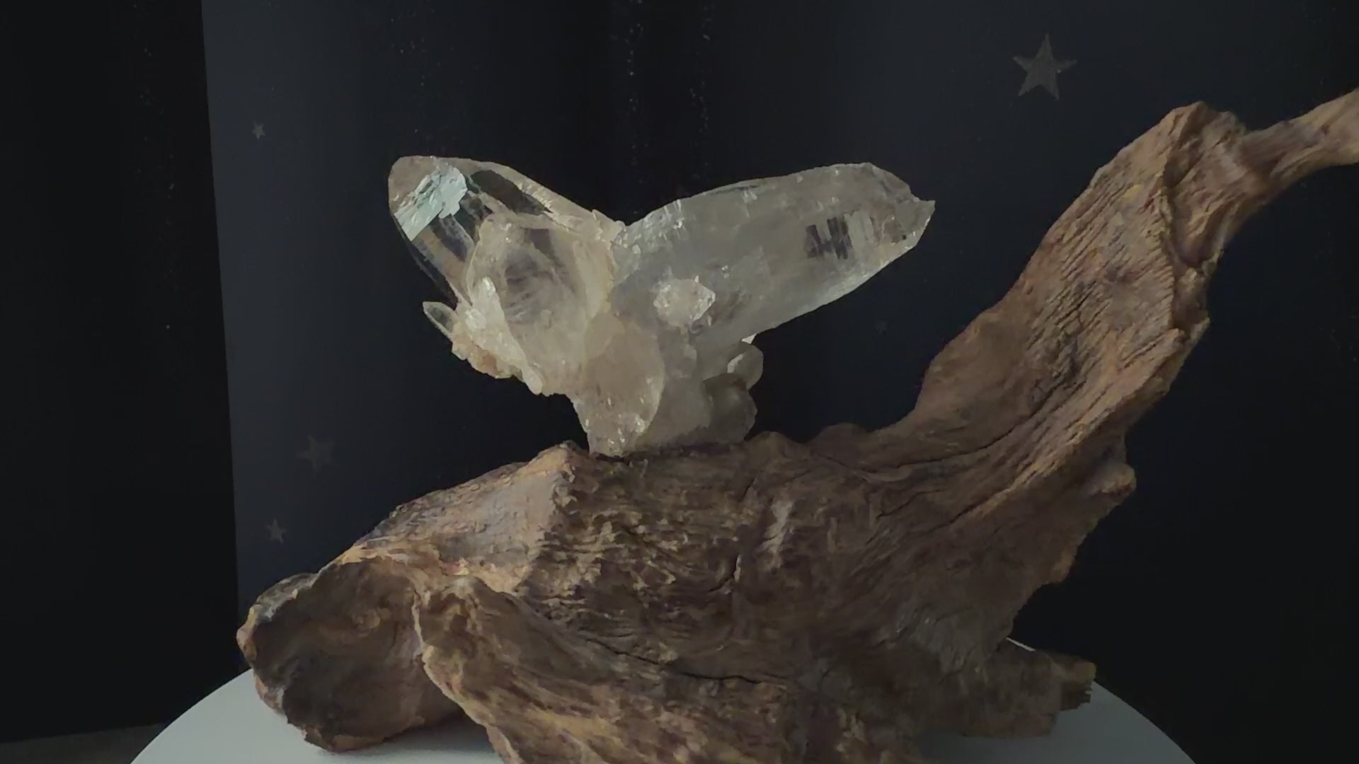 Himalayan Quartz Eagle Wing Twin Point with Wood Stand - 105g - IMG_6965.mov