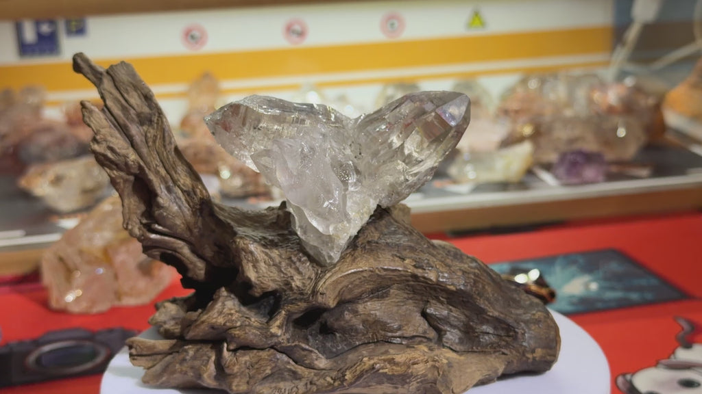 Himalayan Quartz Eagle Wing Twin Point with Wood Stand - 105g - IMG_6957.mov