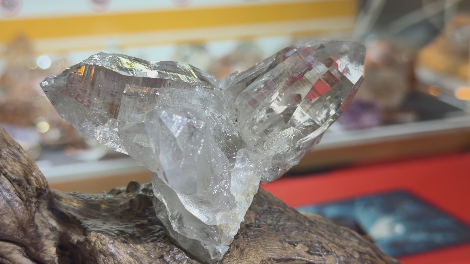 Himalayan Quartz Eagle Wing Twin Point with Wood Stand - 105g - IMG_6959.mov